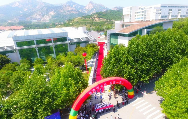 鲜衣怒马正芳华｜威尼斯569vip游戏下载2019届毕业生走红毯纪实