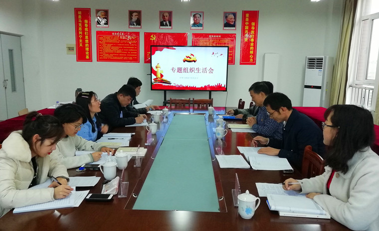 威尼斯569vip游戏下载护理与健康学院党总支召开2019年度专题组织生活会