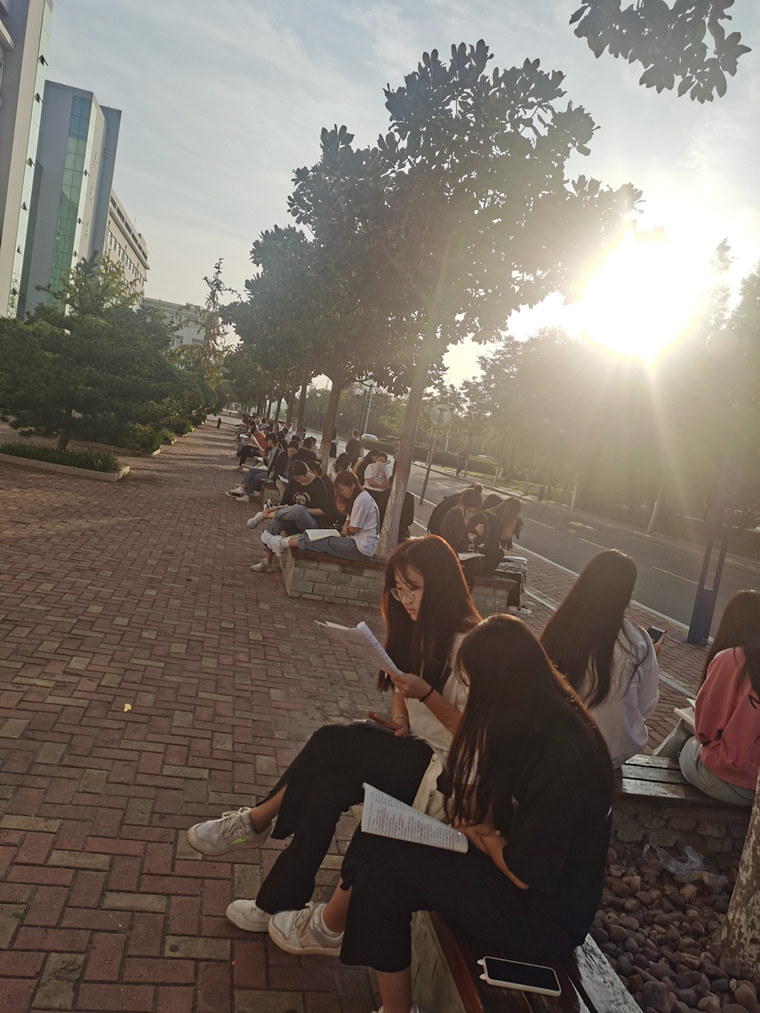 在晨曦中逐梦前行——记专套本学子们的“晨读”行动