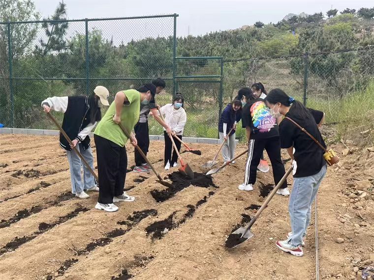 学前教育学院种菜记