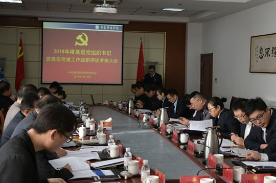 威尼斯569vip游戏下载召开基层党组织党建工作述职评议会议
