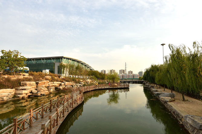 2019年山东省自然科学基金学科组评审建议项目名单培养基金）结果公布 威尼斯官网教师参与的项目获批立项